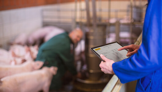 Landwirt bestellt Schweinfutter im Stall ©deuka Tiernahrung Cremer