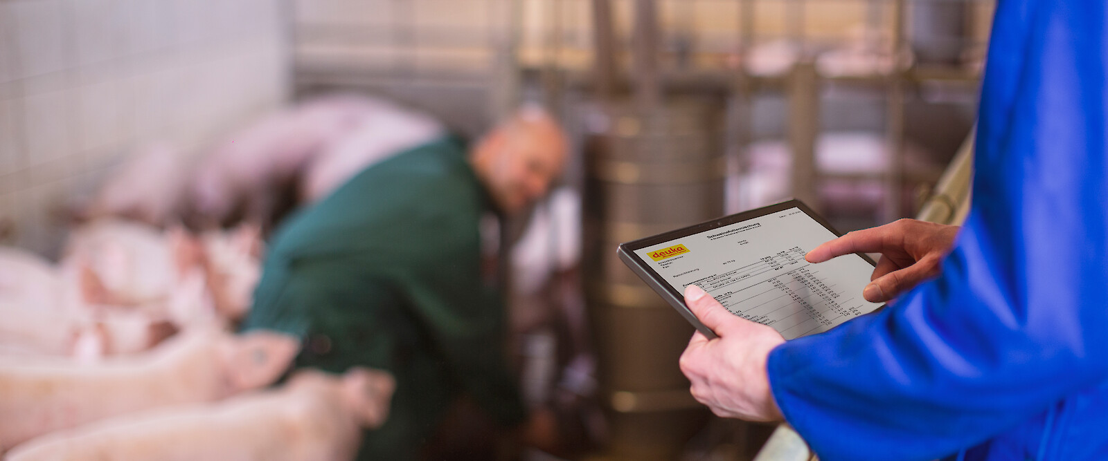 Landwirt bestellt Schweinfutter im Stall ©deuka Tiernahrung Cremer