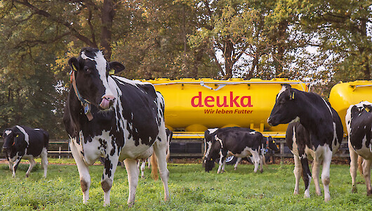 Schwarzbunte vor deuka LKW_RGB (© deuka Tiernahrung Cremer).