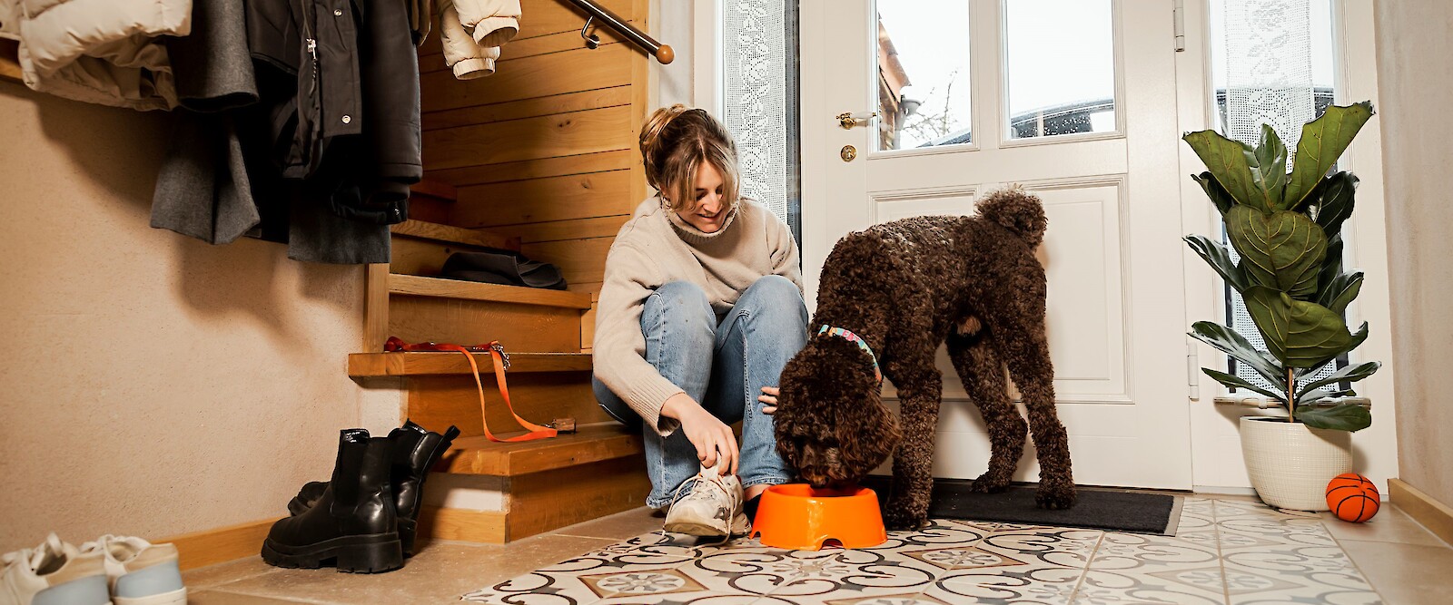 Junge Frau füttert Goldendoodle vor Treppe (©deuka Tiernahrung Cremer).