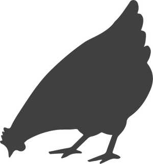 Icon Area Poultry (© Deutsche Tiernahrung Cremer).
