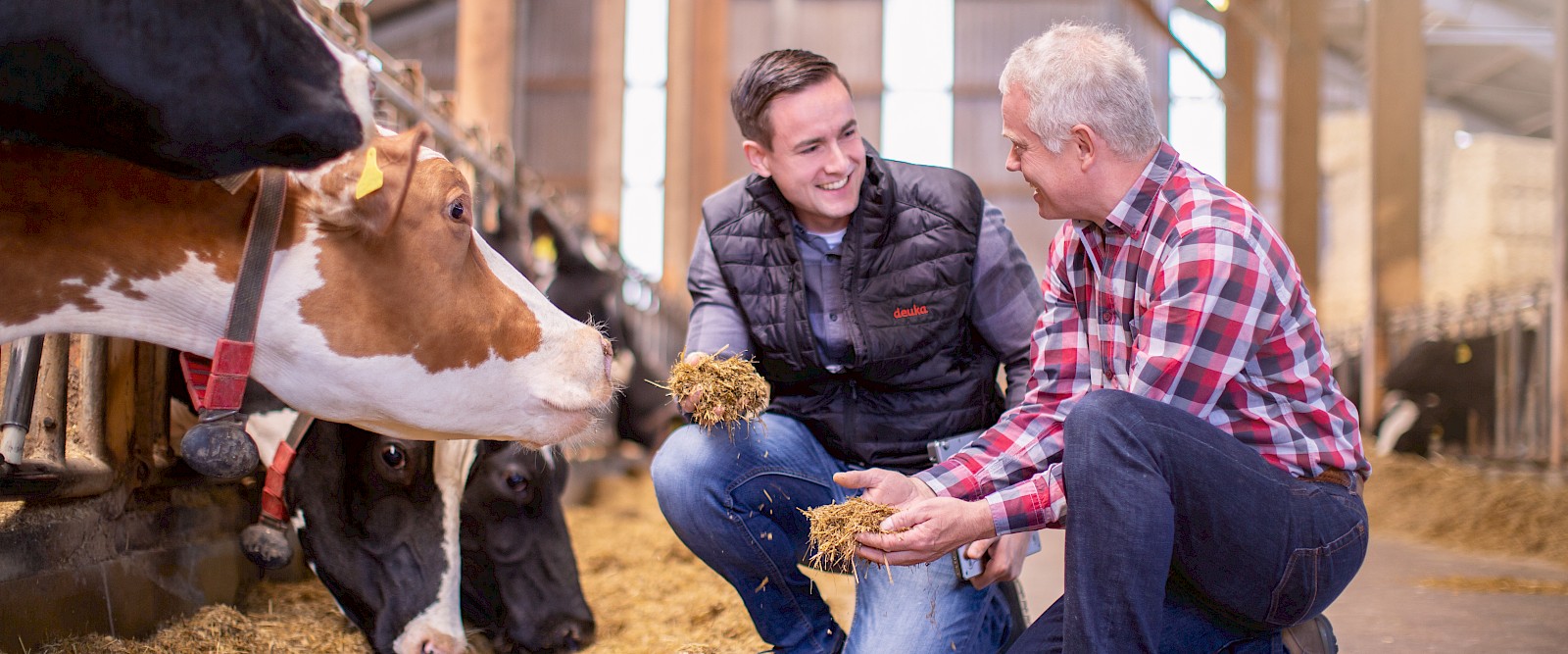 Landwirt und deuka-Fachberater für Rinderfütterung prüfen Futterqualität am Fressgitter (© Deutsche Tiernahrung Cremer).