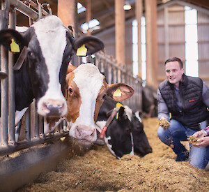 Cattle at a feeding table with farmer and advisor (© Deutsche Tiernahrung Cremer).