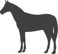 Icon_Area Horse