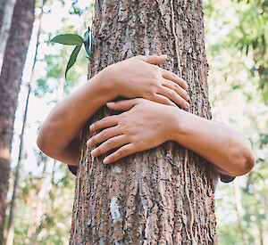 Boy hugging tree_AdobeStock_265676636_patpitchaya
