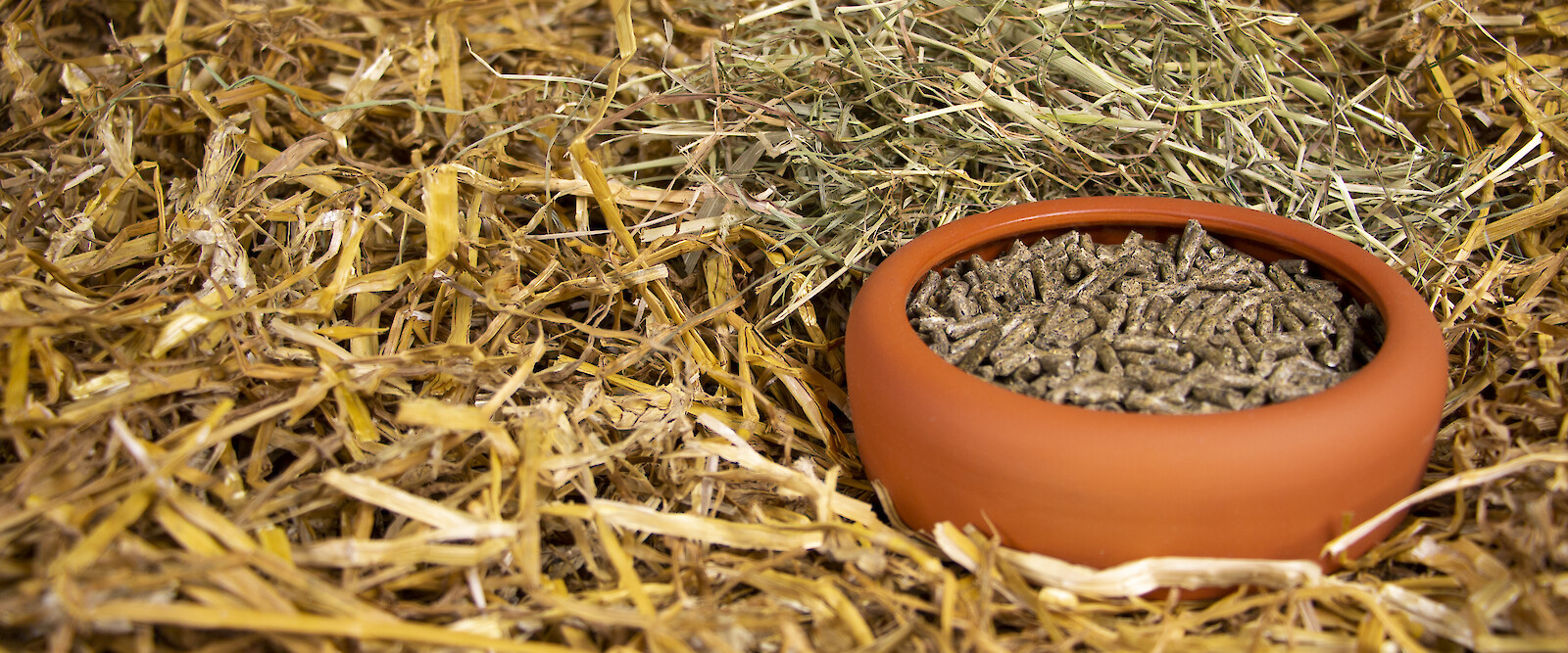 Illustration Club Rabbit Pellet Food (© Deutsche Tiernahrung Cremer).