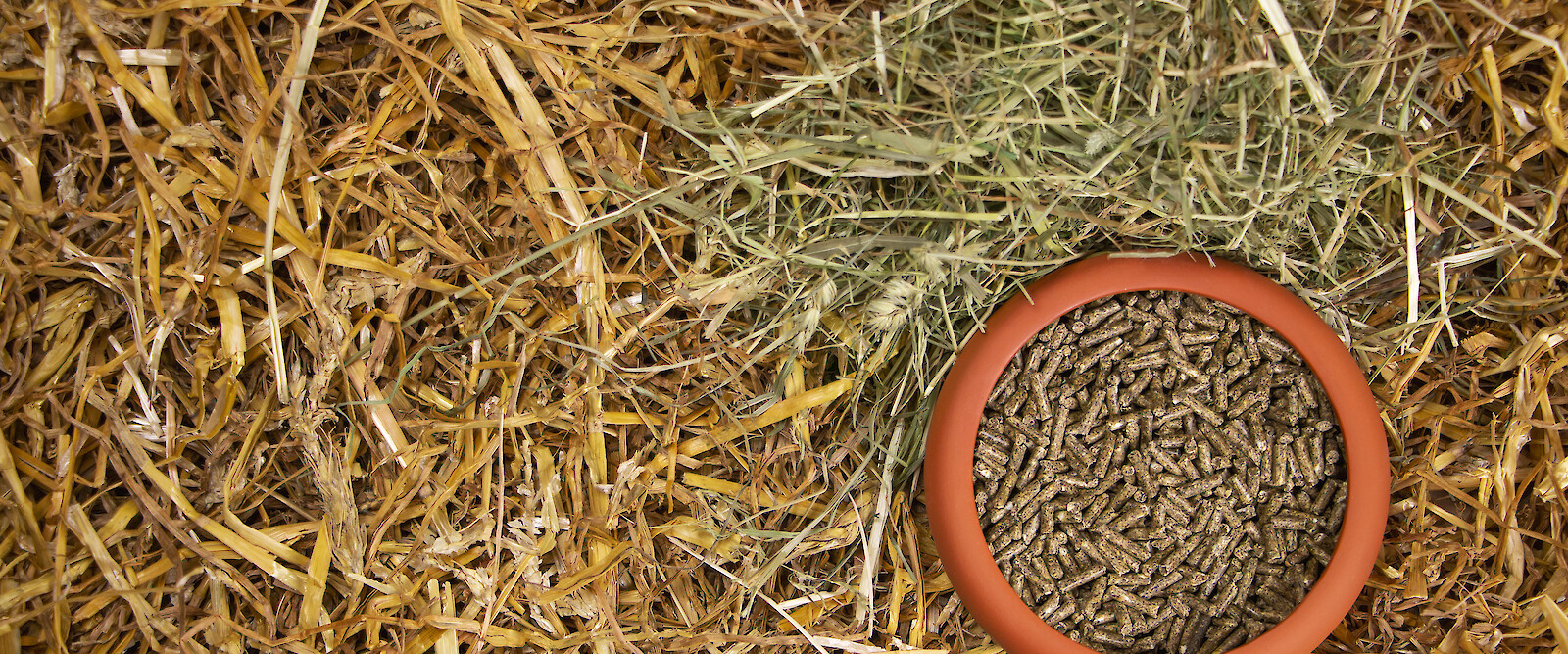 Illustration deukanin pellet feed (© Deutsche Tiernahrung Cremer).