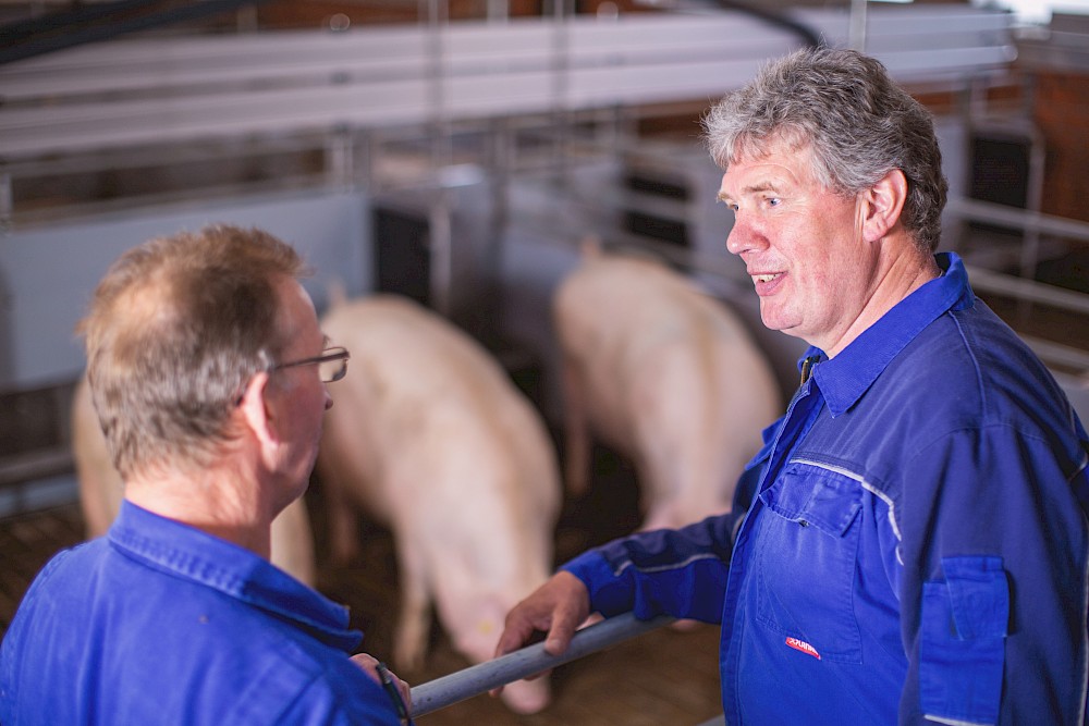 Farmer and deuka expert advisor talk about optimal sow feeding in sow barn (© Deutsche Tiernahrung Cremer).