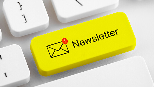 Illustration_Newsletter_adobe stock_© Jakub Krechowicz – stock.adobe.com