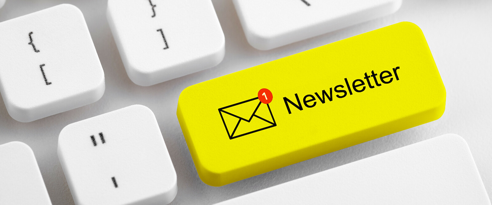 Illustration_Newsletter_adobe stock_© Jakub Krechowicz – stock.adobe.com