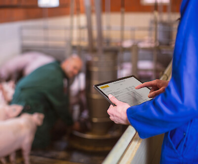 Advisor and farmer always have an eye on the content of ingredients in fattening feed (© Deutsche Tiernahrung Cremer).
