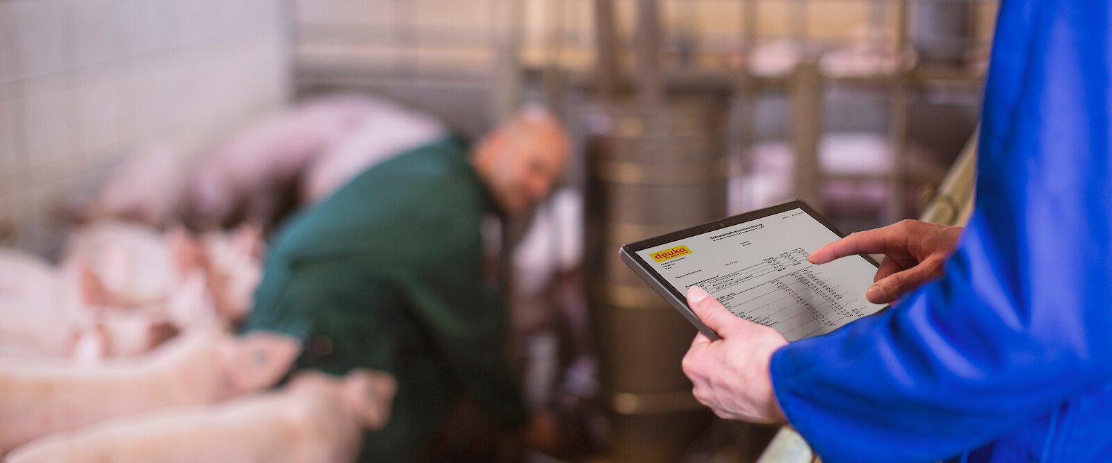 Advisor and farmer always have an eye on the content of ingredients in fattening feed (© Deutsche Tiernahrung Cremer).