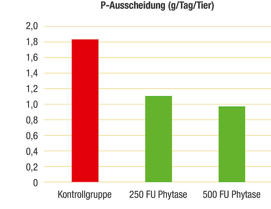 The excretions of the fattening pigs in the control group amounted to approx. 1.8 g per animal and day. In contrast, animals that received 250 to 500 FTU phytase with their feed excreted only about 1.1 g or less than 1.0 g P per animal and day (Source: Dusel, HS. Bingen; cited in: Weber, M. 2018; © Deutsche Tiernahrung Cremer).