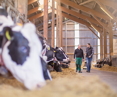 Advisor and farmer discuss the right feeding at the feeding table (© Deutsche Tiernahrung Cremer).