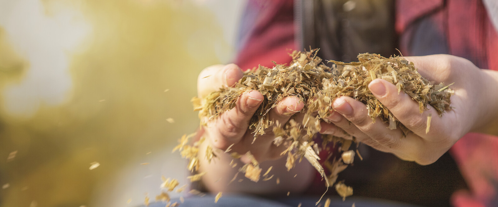 Farmer checking silage (© Deutsche Tiernahrung Cremer).