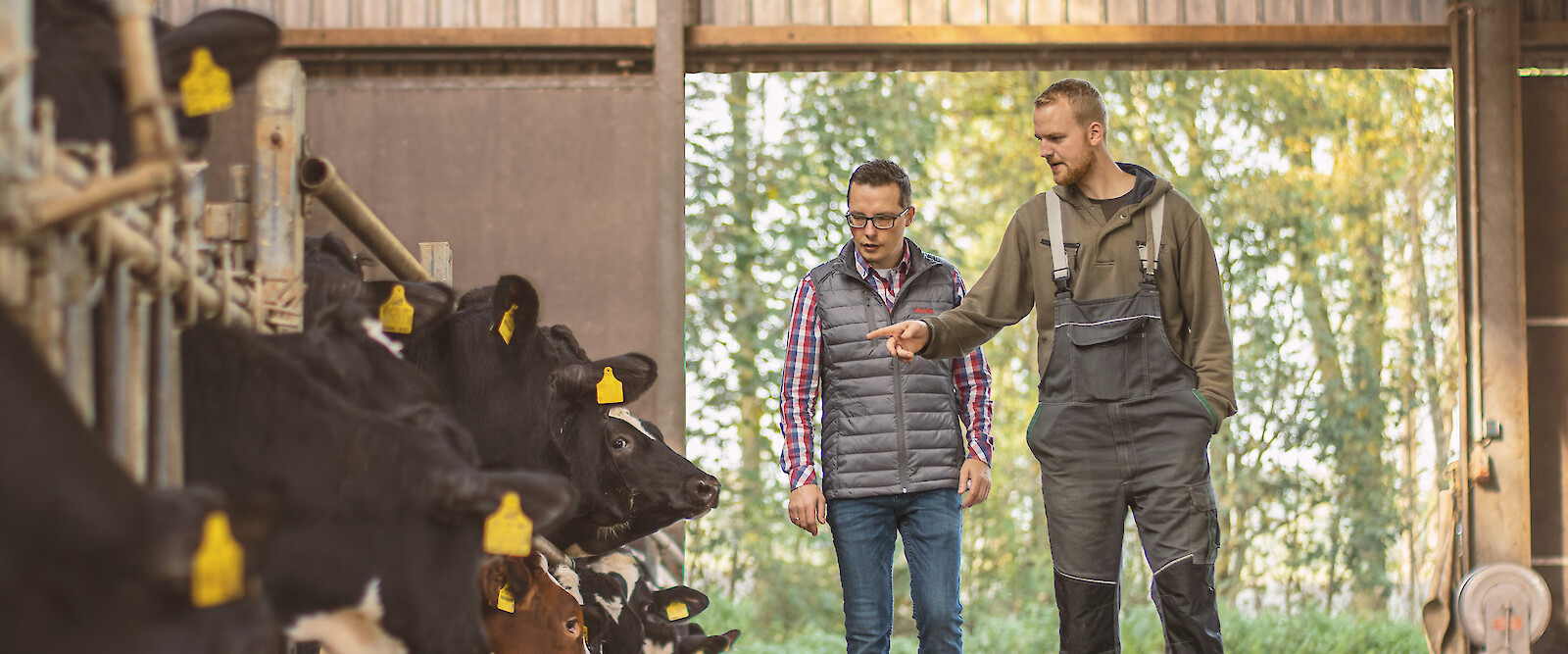Landwirt und deuka-Berater besprechen Harnstoff-Fütterung an Futtertisch (© Deutsche Tiernahrung Cremer).
