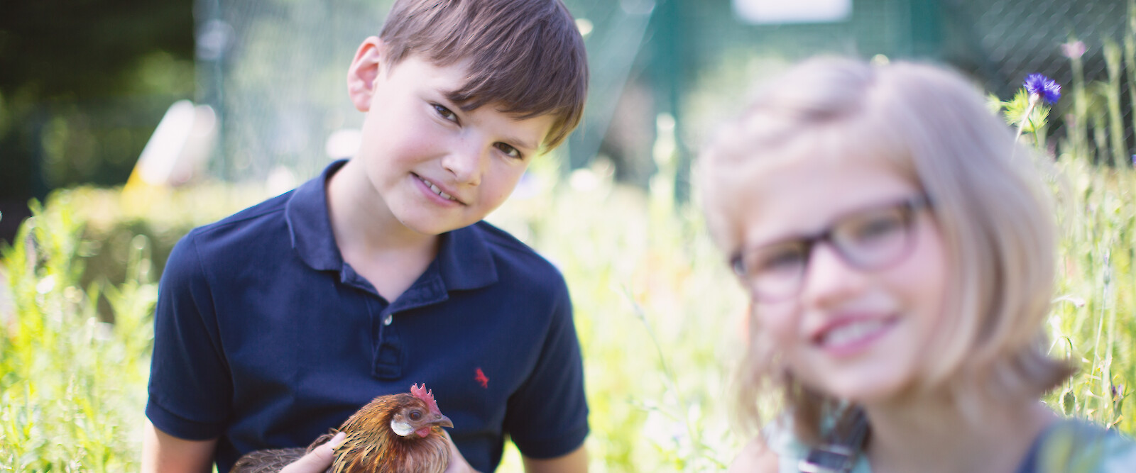 Junge und Mädchen mit Henne und Hahn im eigenen Garten (© Deutsche Tiernahrung Cremer).