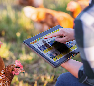 Farmer uses DEUꞏPA to order feed for her poultry_(C) Deutsche Tiernahrung Cremer_RGB