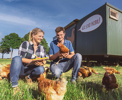 Farmer and poultry consultant discuss optimal management of laying hens in front of the mobile house (© Deutsche Tiernahrung Cremer).