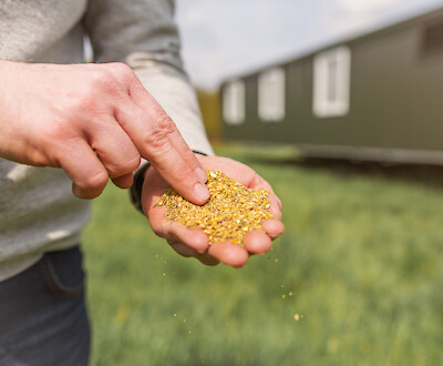 Laying hens for the mobile stable should have a meal form (© Deutsche Tiernahrung Cremer).