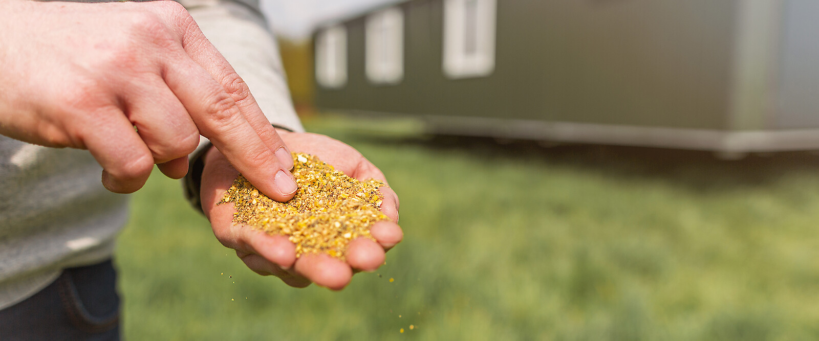 Laying hens for the mobile stable should have a meal form (© Deutsche Tiernahrung Cremer).