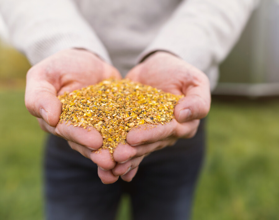 deuka NG mobile housing feed is our first special laying hen feed for the mobile stables (© Deutsche Tiernahrung Cremer)