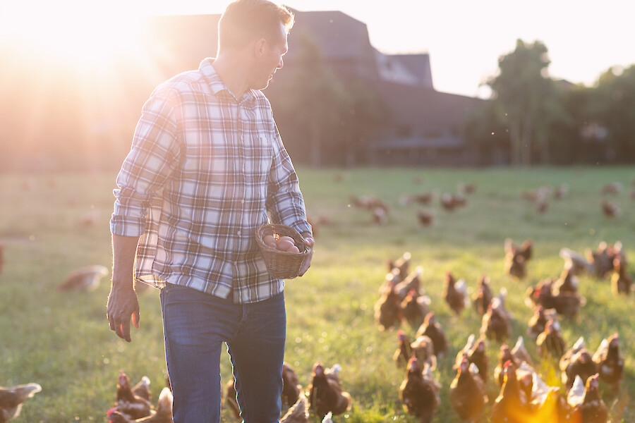 Farmer on grassland together with his mobile stable flock (© Deutsche Tiernahrung Cremer).