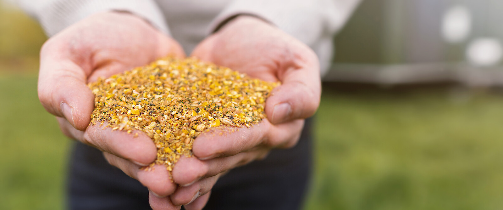 deuka NG mobile stable feed presented in hand (© Deutsche Tiernahrung Cremer), RGB