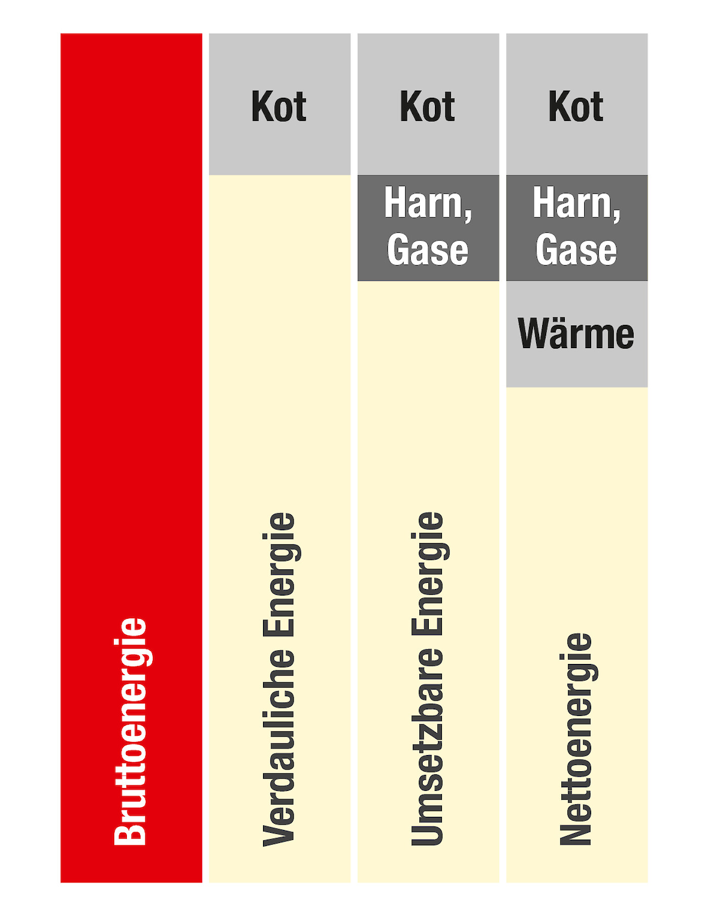 Grafische Darstellung Bruttoenergie im Vergleich zu anderen Energiebewertungssystemen in der Schweinemast (© Deutsche Tiernahrung Cremer).