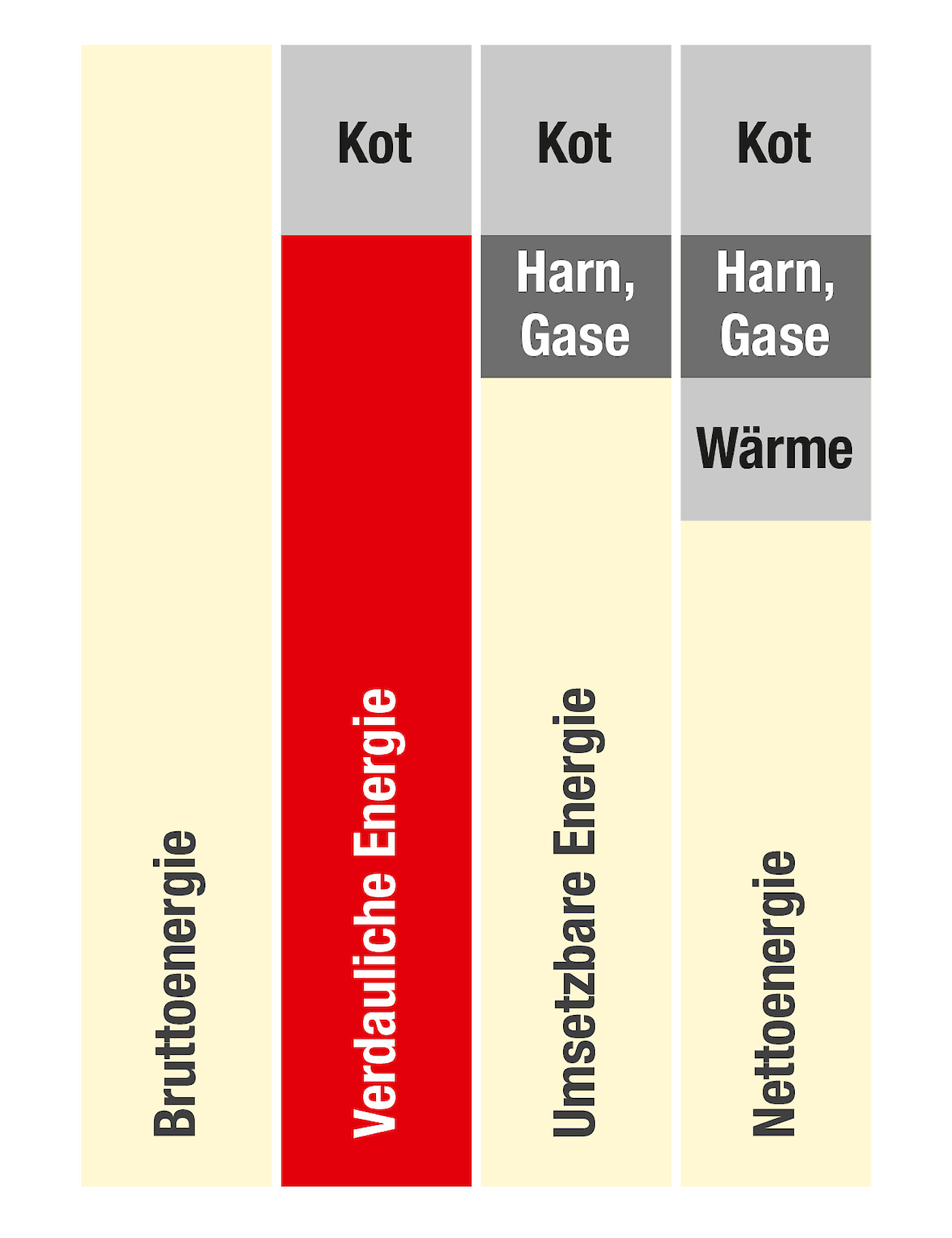 Grafische Darstellung verdauliche Energie im Vergleich zu anderen Energiebewertungssystemen in der Schweinemast (© Deutsche Tiernahrung Cremer).