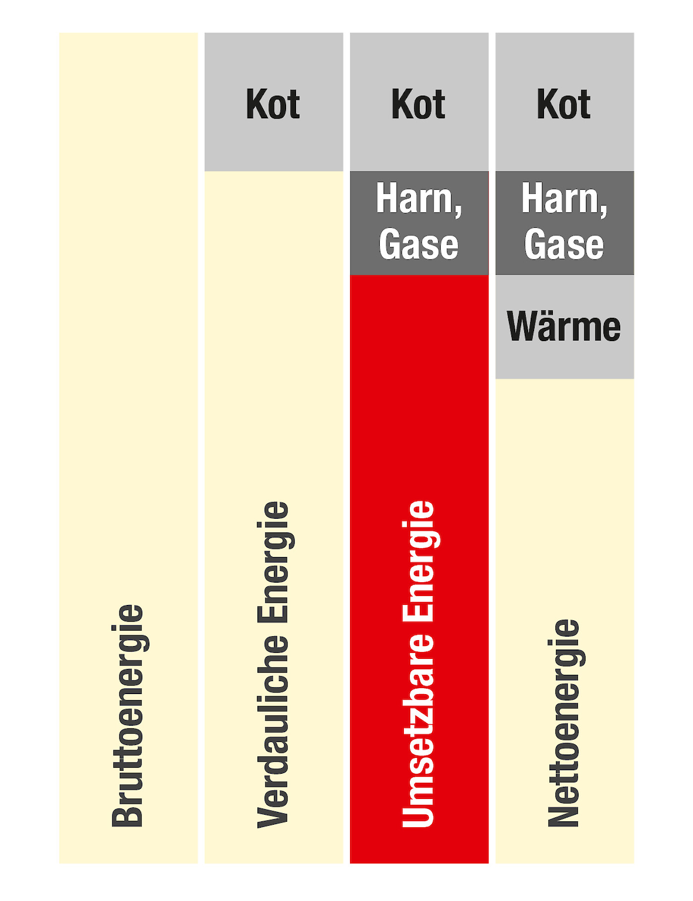 Grafische Darstellung umsetzbare Energie im Vergleich zu anderen Energiebewertungssystemen in der Schweinemast (© Deutsche Tiernahrung Cremer).