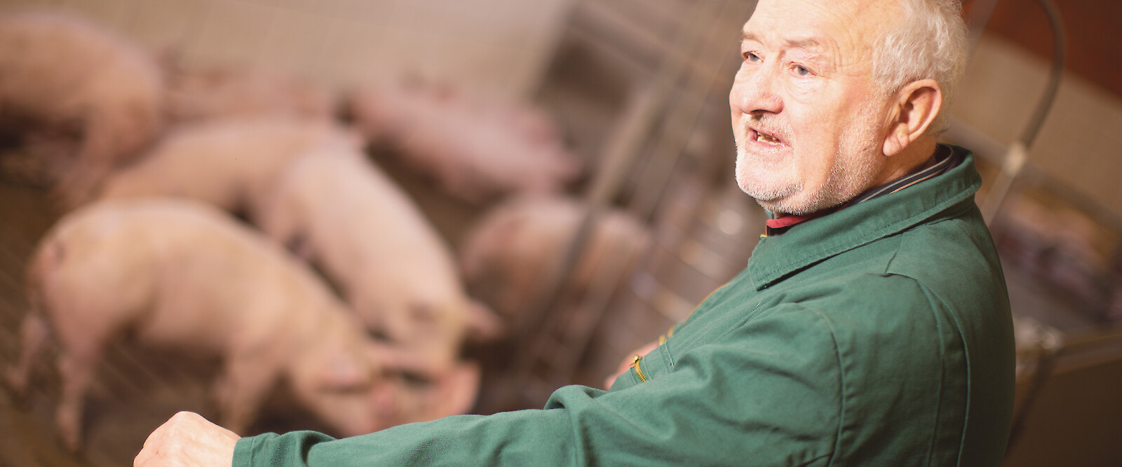 Farmer in front of a herd of pigs in the barn (© Deutsche Tiernahrung Cremer).