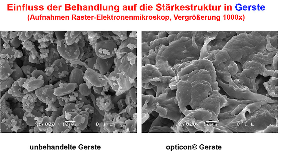 Rohwaren vor uns nach der opticon-Behandlung unter dem Elektronenmikroskop II (© deuka Tiernahrung Cremer).