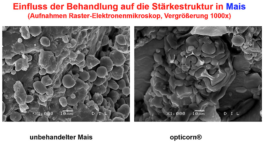 Rohwaren vor uns nach der opticon-Behandlung unter dem Elektronenmikroskop III (© deuka Tiernahrung Cremer).