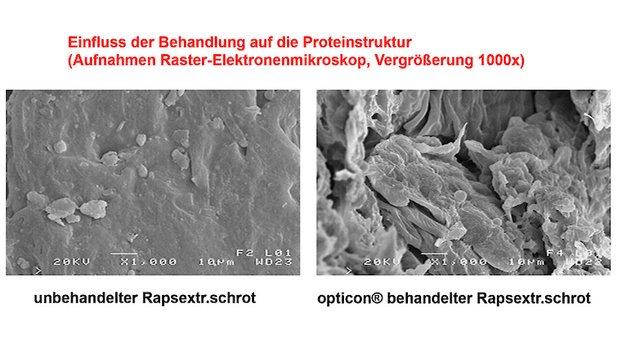 Rohwaren vor uns nach der opticon-Behandlung unter dem Elektronenmikroskop IV (© deuka Tiernahrung Cremer).