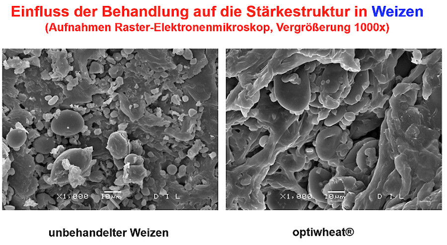 Rohwaren vor uns nach der opticon-Behandlung unter dem Elektronenmikroskop I (© deuka Tiernahrung Cremer).