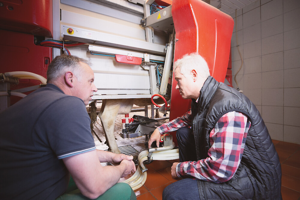Farmer and deuka advisor discuss milking performance at the AMS (© Deutsche Tiernahrung Cremer)