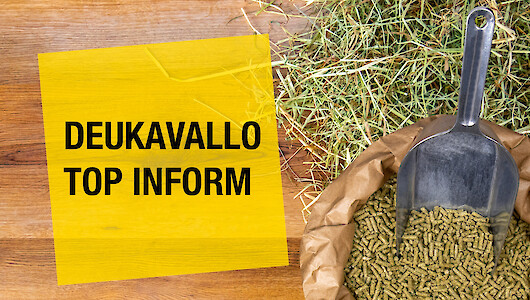 Stimmungsbild deukavallo Top InForm (© deuka Tiernahrung Cremer)