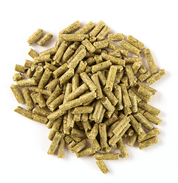 Feed photo deukavallo Top InForm Pellets_heap supervision (© Deutsche Tiernahrung Cremer)