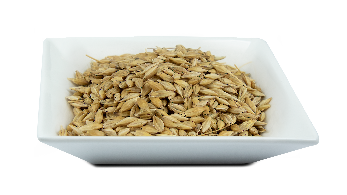 The energy content of barley is low, but the crude fiber content, crude protein content and small intestine digestibility of its amino acids are in the midfield and the cereals of pig feeding. (© German Pet Food Cremer).