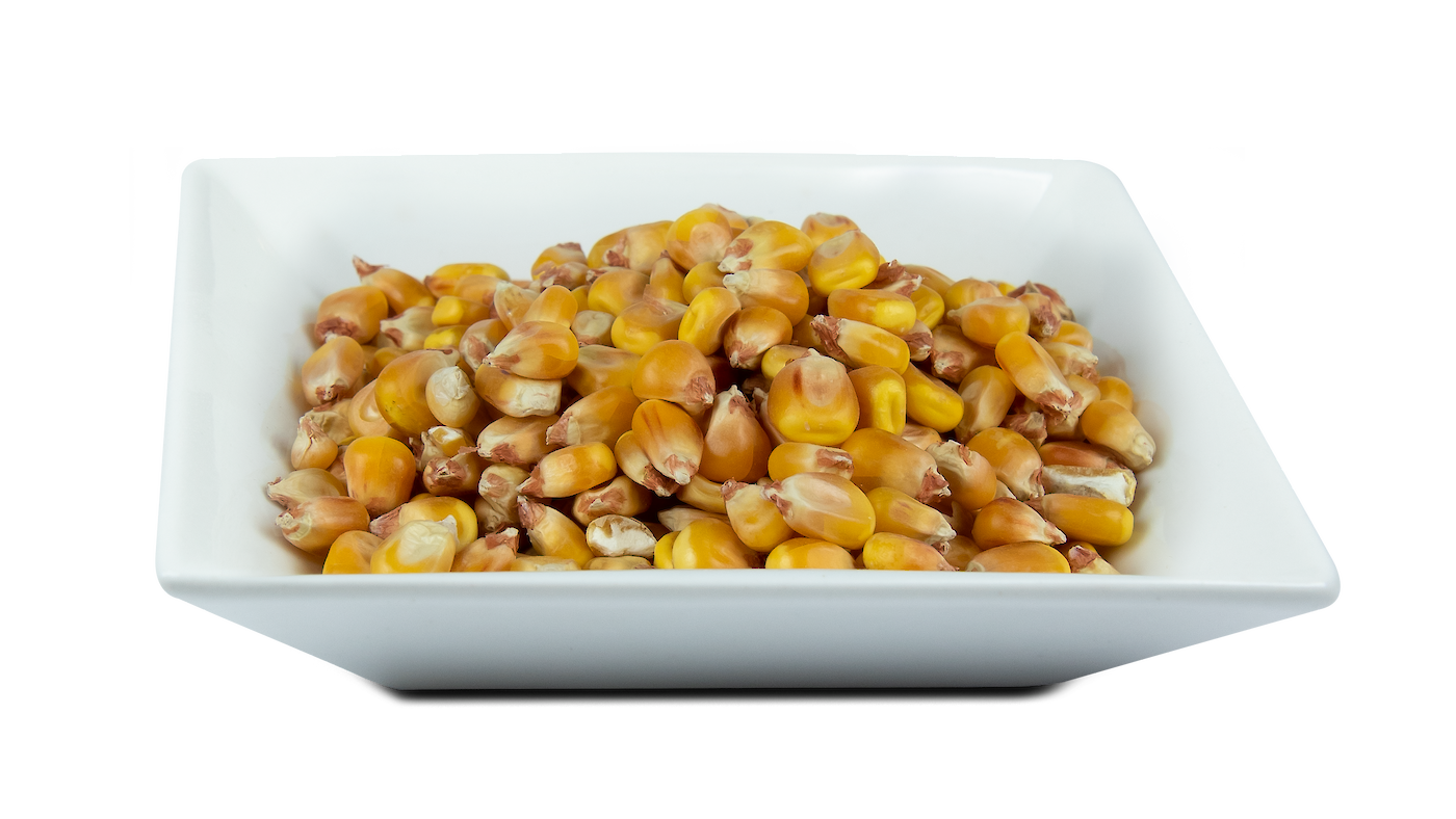 Als Körnermais und Corn-Cob-Mix (CCM) eingesetzt, gehört Mais zu den Futtermittel mit der höchsten Akzeptanz unter Schweinen. Auch in Bezug auf den Stärkegehalt belegt das Futtergetreide den Spitzenplatz (© Deutsche Tiernahrung Cremer).