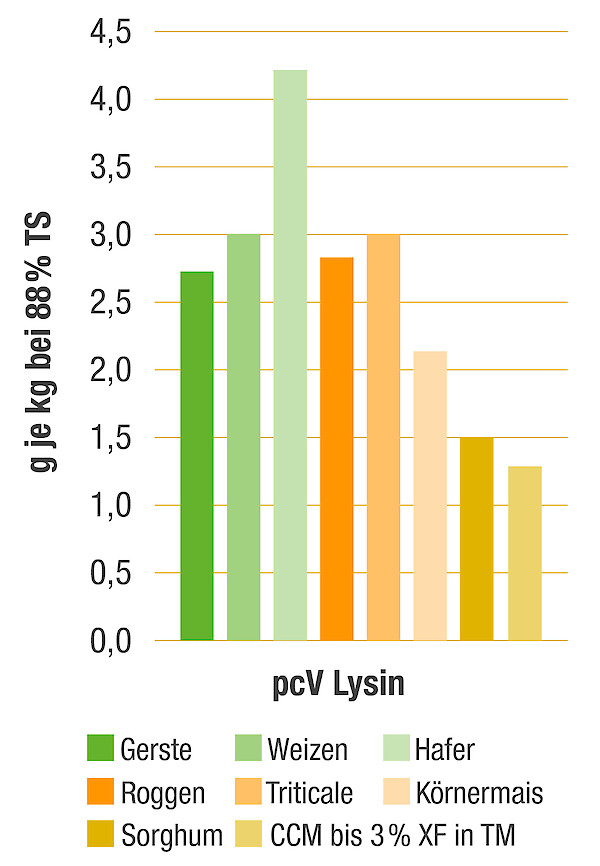Die Grafik zeigt den Anteil der praecaecal verdaulichen Aminosäure (pcV) Lysin in Gramm je Kilogramm Getreide bei 88% Trockensubstanz (© Deutsche Tiernahrung Cremer).
