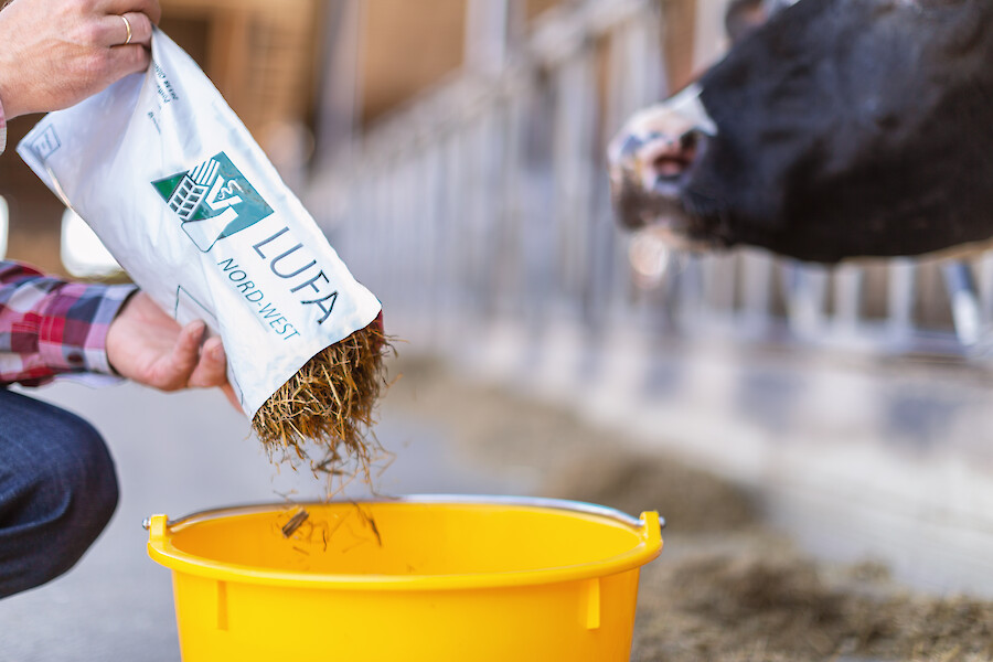 Only an exact analysis (e.g. at LUFA Nord-West or LKS Lichtenwalde) makes optimal and precise feeding possible (© Deutsche Tiernahrung Cremer).