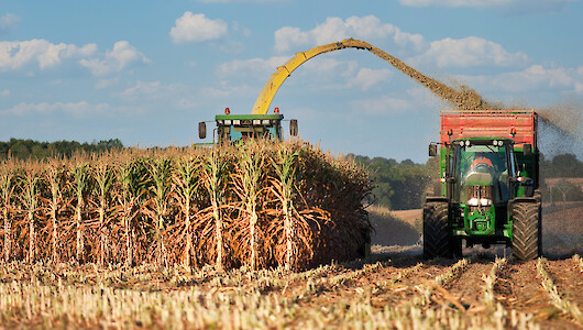 Agrar-Newsletter - Wir leben Futter!_Edition 8 - 2021_Agricultural machinery at the maize harvest 2021 in Germany (© Thierry RYO - stock.adobe.com).