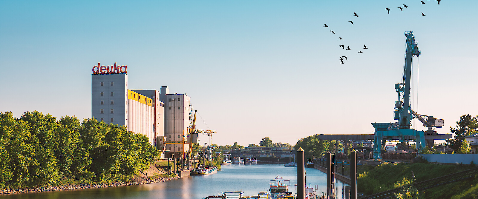 Werk Düsseldorf im Hafen_Einkaufsbedingungen für den Bereich Technik, Bau und technische Ausrüstung (© deuka Tiernahrung Cremer).