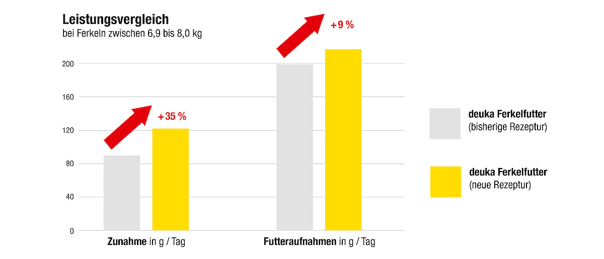 Practical studies show improved feed conversion and increased daily gains in piglets fed piglet rearing feeds (FAZ I-III) with the optimised recipe for 36 days (© Deutsche Tiernahrung Cremer).